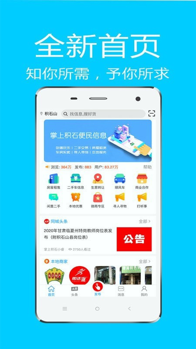 掌上积石