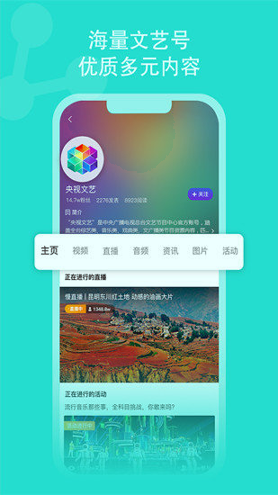 央视文艺