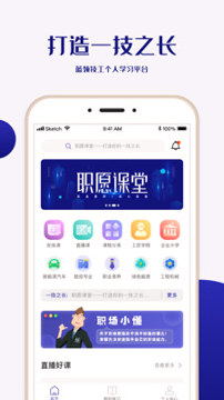 职愿