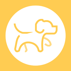 探真宠物窝