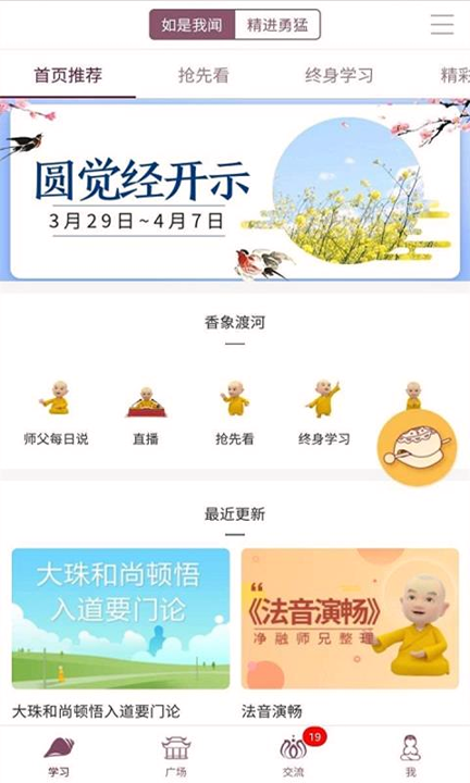 网路龙树