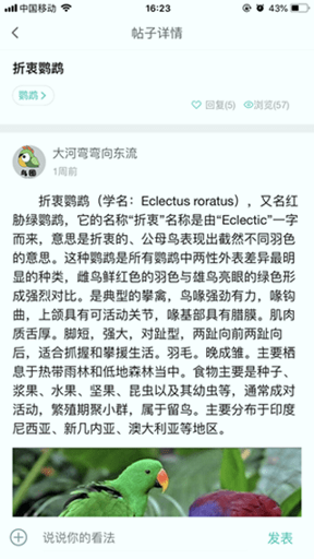 鸟圈