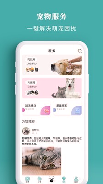 宠朕