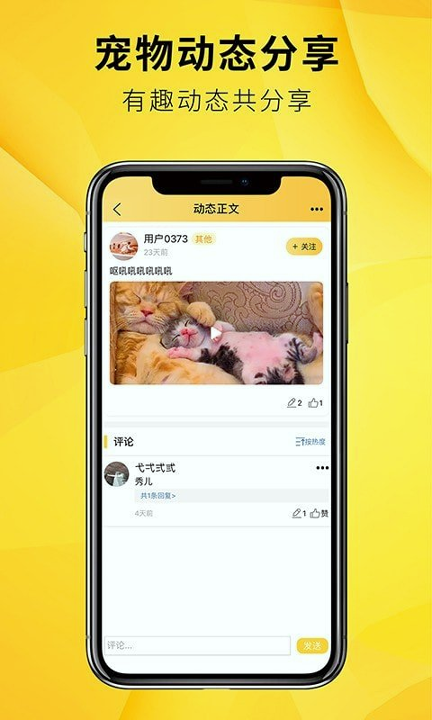 毛宠团