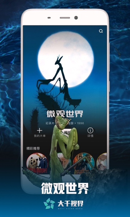 大千视界