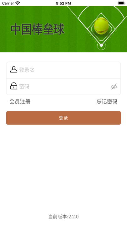 中国棒垒球