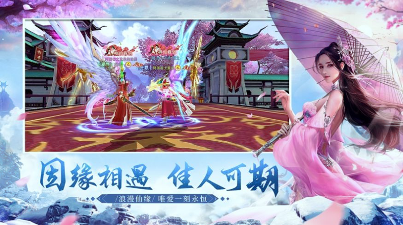 许卿周晋南重生归来