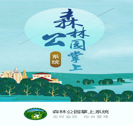 掌上森林