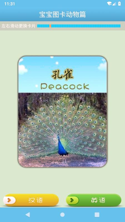 宝宝图卡动物篇