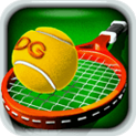 3D网球专业版