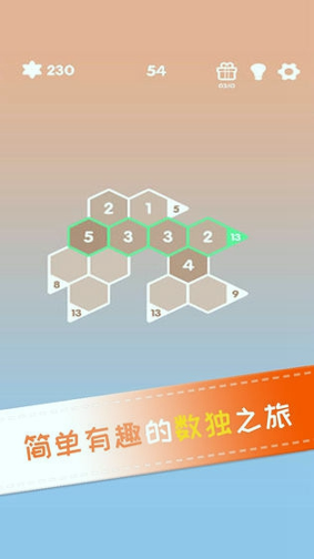 神奇六边形数独