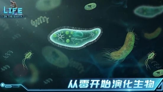 地球上的生命闲置进化