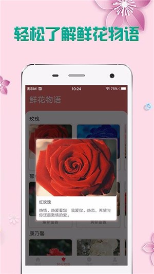 掌上花