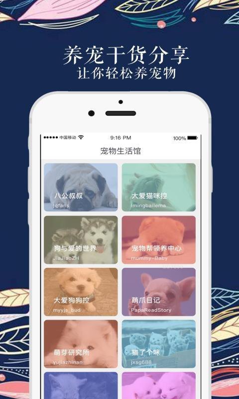 宠物生活