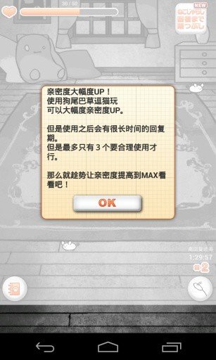 猫咪日记