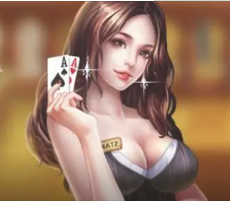 th牌棋pkufli官方版
