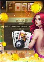 乐游正版牌棋官网版