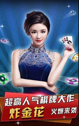十三张app插件