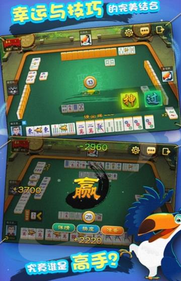 大势力牌棋官网版