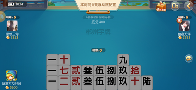 大金龙牌棋金币版