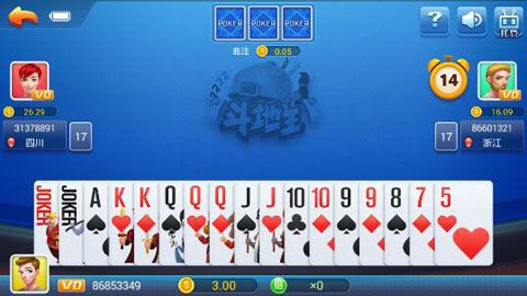 大赢家牌棋9906官网版