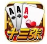 大玩家牌棋官网版