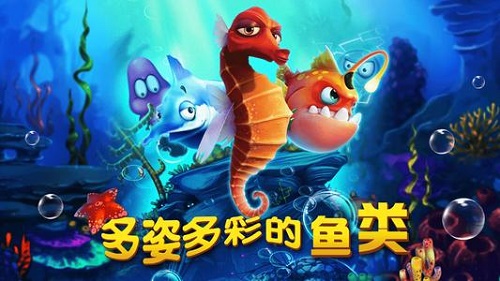 博乐牌棋官网版最新版