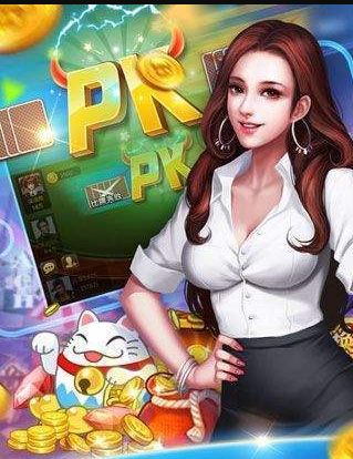一龙牌棋官方正版