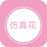 中国仿真花网正式版