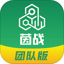 茵战团队版