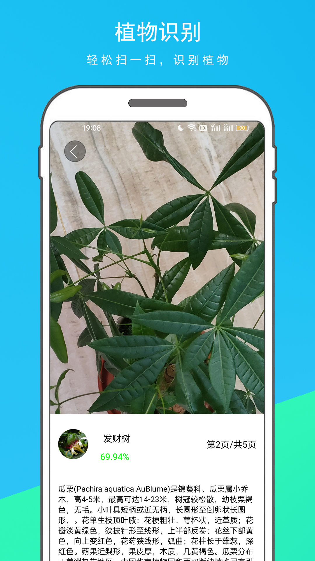 万物识别王