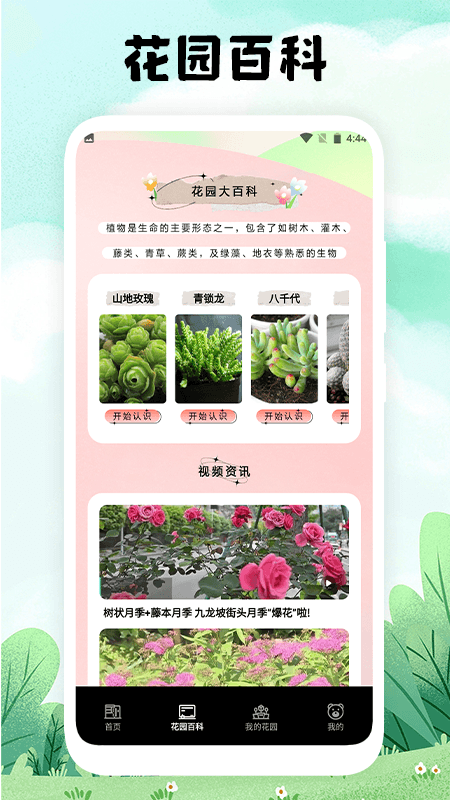 万物识图大师