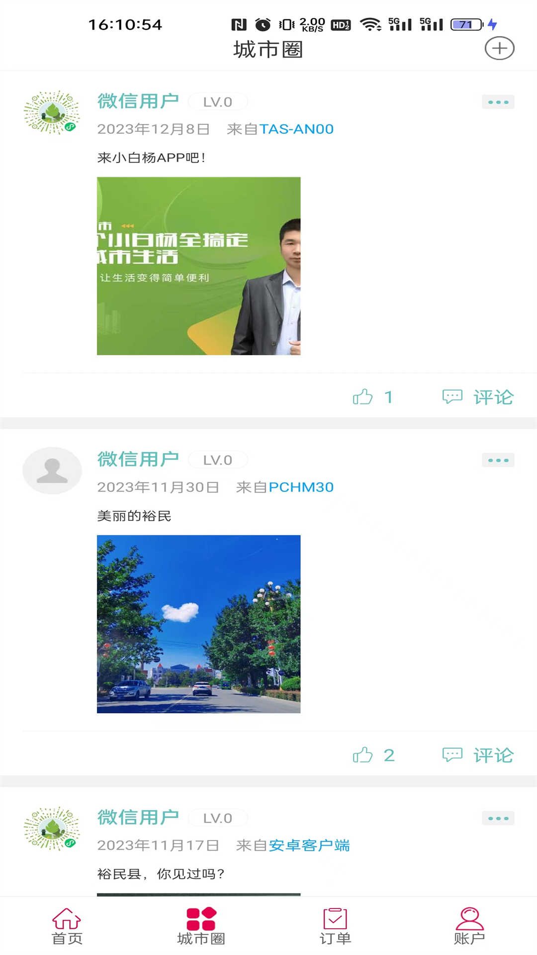 小白杨
