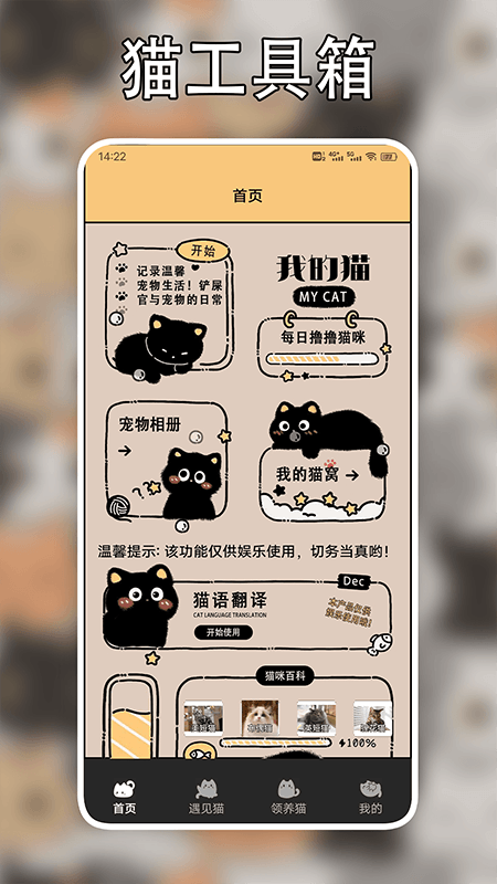 遇见我的猫翻译
