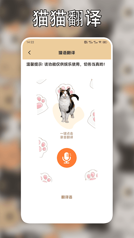 遇见我的猫翻译