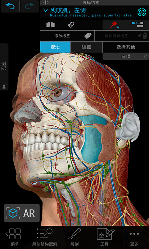 3d人体解剖