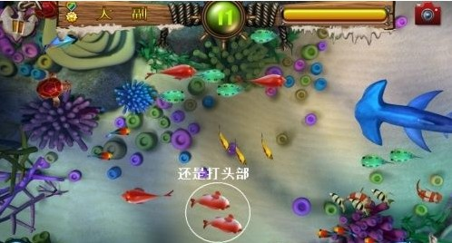 乐游牌棋app