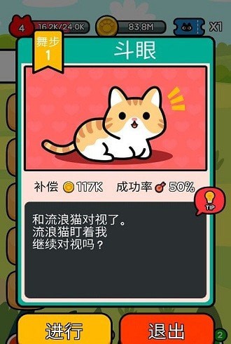 收养一只流浪的猫