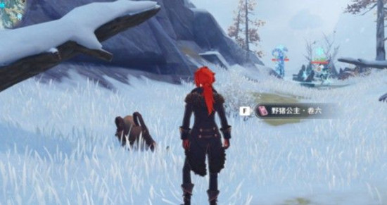 原神雪山地图小狐狸宝箱怎么获得 小狐狸投喂方式介绍