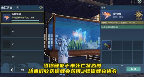 妄想山海锦鲤坐骑怎么获得 锦鲤兑换券获取方式介绍 妄想山海锦鲤坐骑怎么获得 锦鲤兑换券获取方式介绍