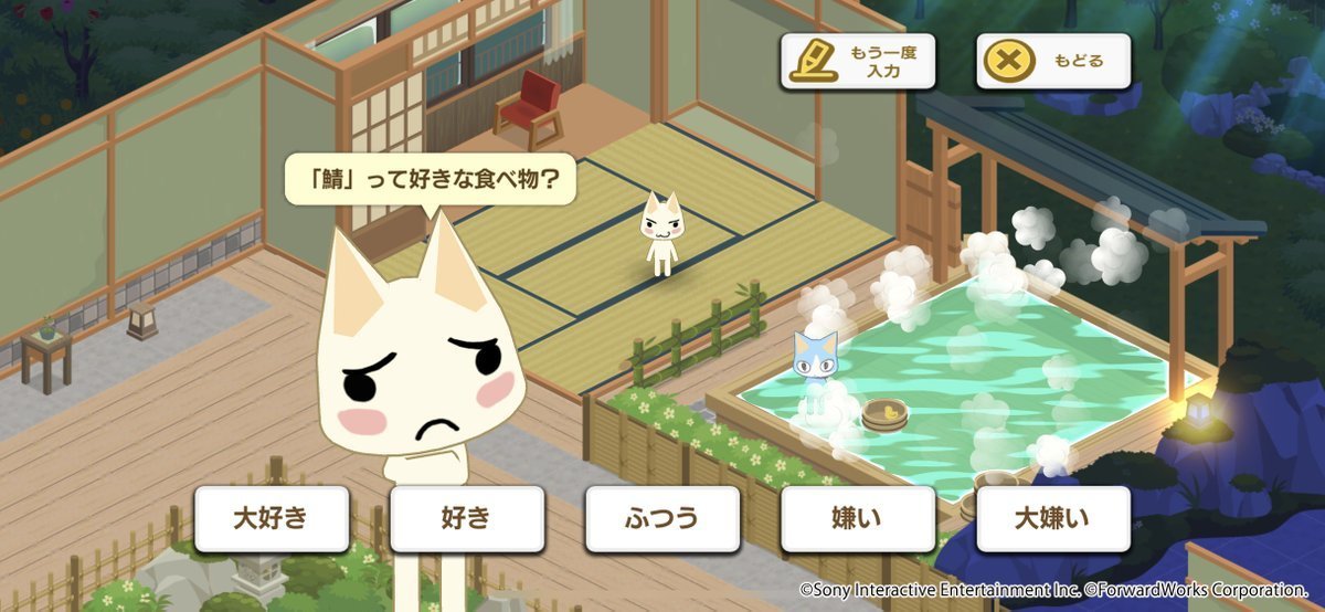 多乐猫