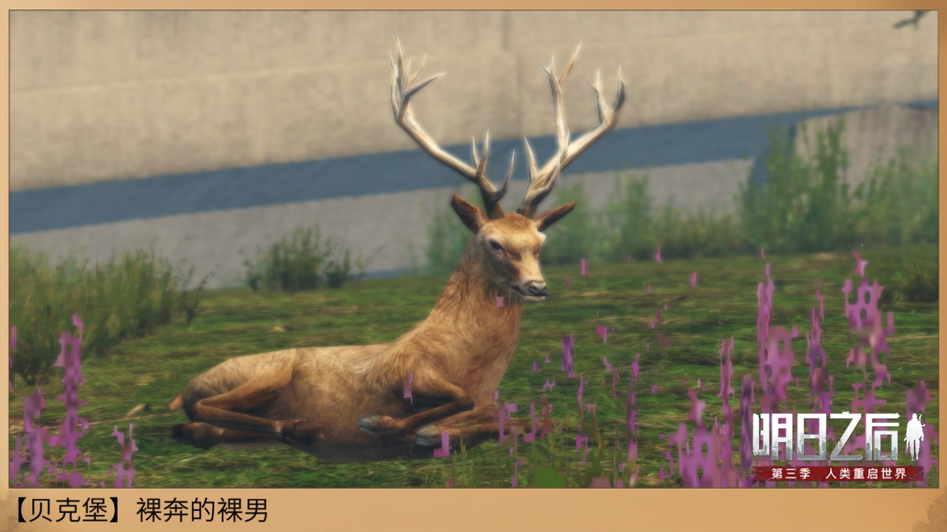 明日之后如何便宜拥有午夜之星 便宜拥有的教程