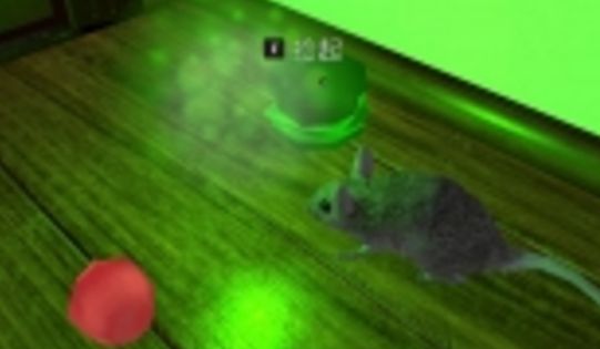 老鼠打猫