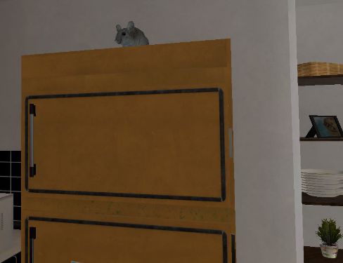 老鼠打猫