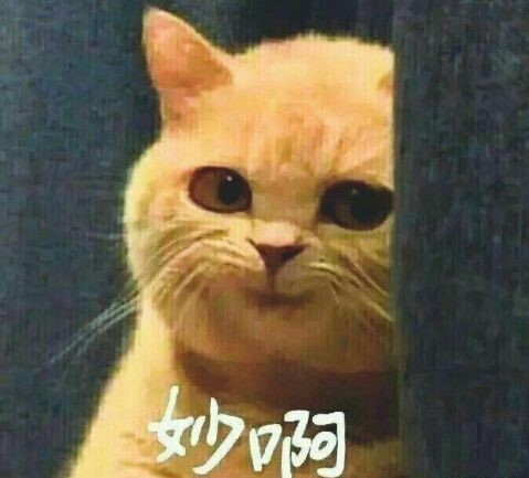 非二次元的剧情盛宴 《灵魂宝戒》评测报告