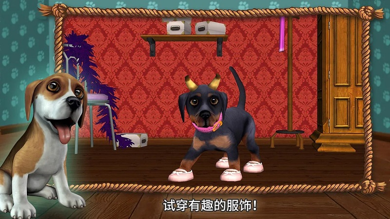 快乐狗狗