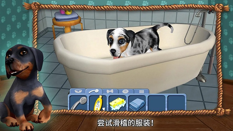 快乐狗狗