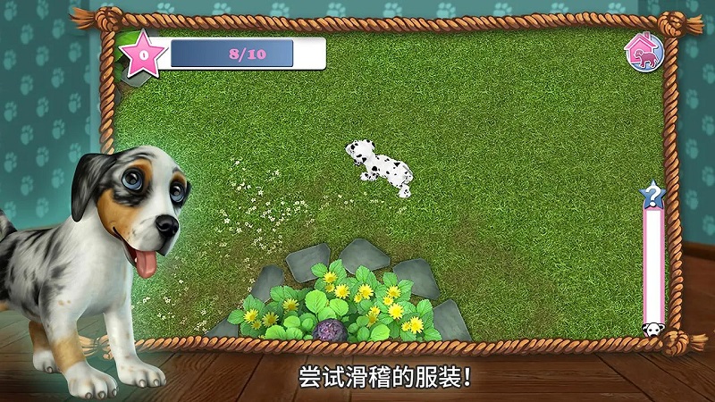 快乐狗狗