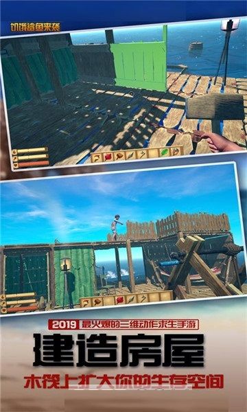 鲨鱼来袭