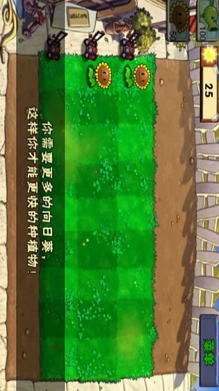 植物大战僵尸记